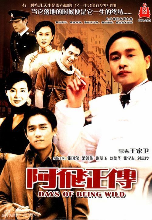 租租车的国际驾照退款